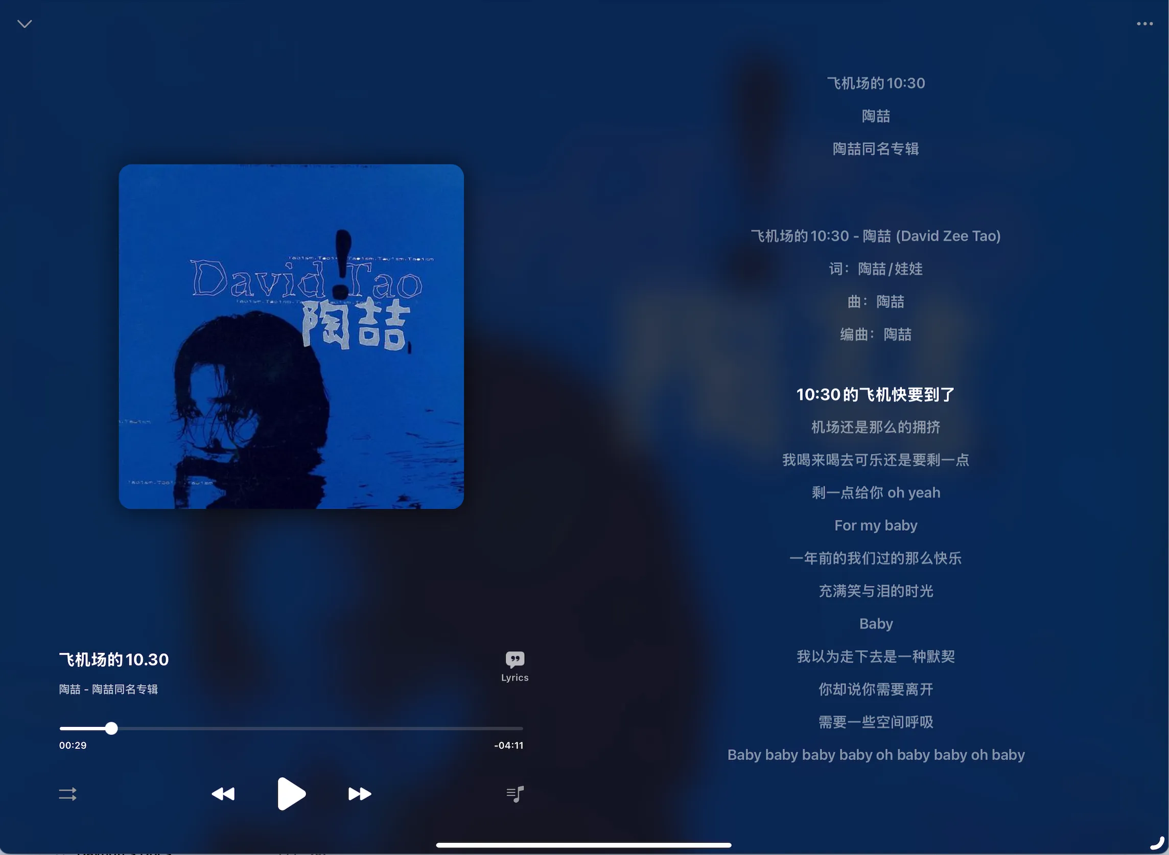 iPad Pro 上 OnePlayer 的歌曲播放